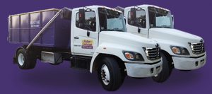 Purple Dumpster Rentals
